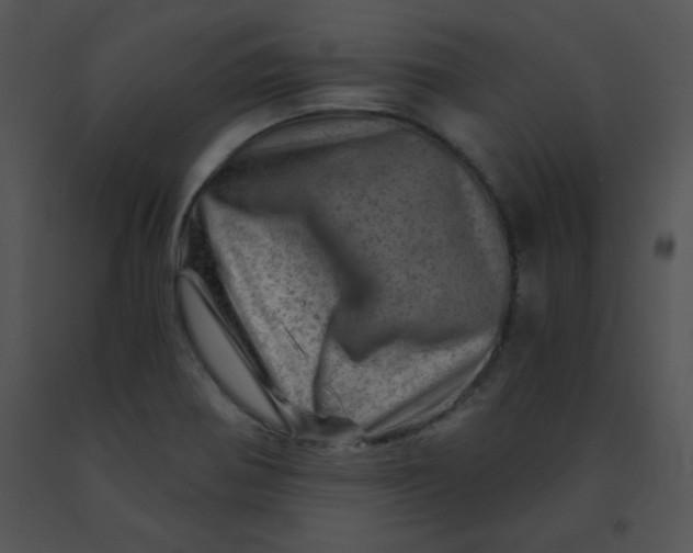 X0000091361370200708311456