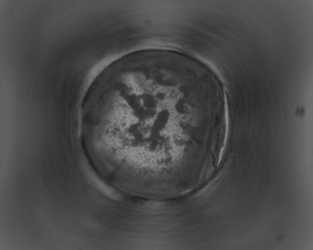 X0000091361371200708311456