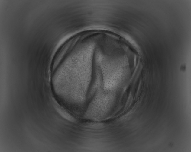 X0000091361372200708311456