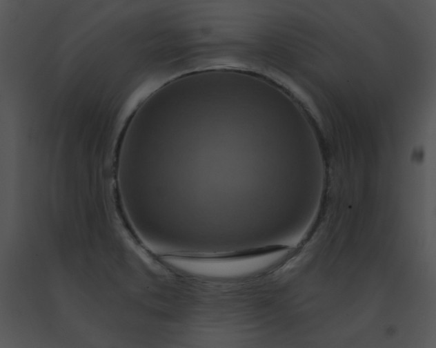 X0000091361373200708311456