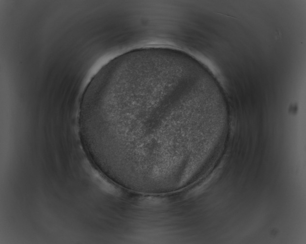 X0000091361374200708311456