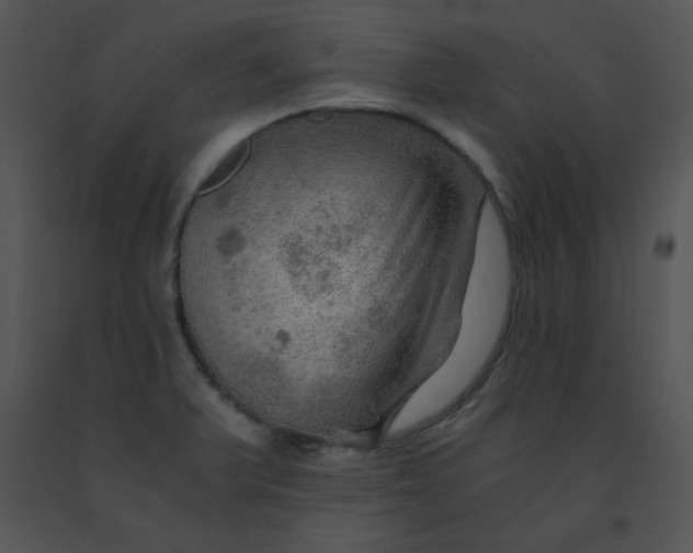 X0000091361375200708311456
