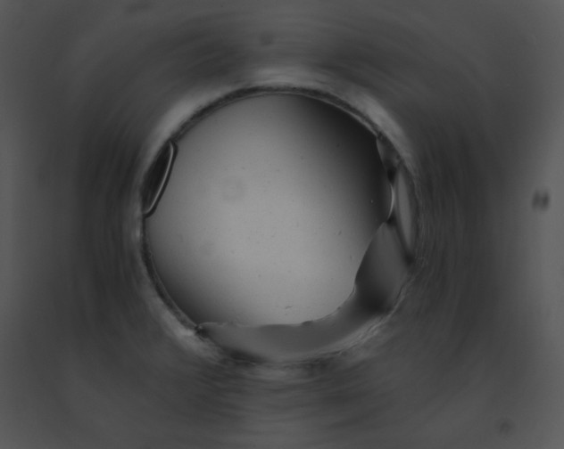 X0000091361376200708311456