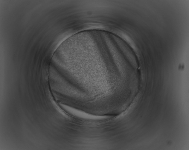 X0000091361377200708311456
