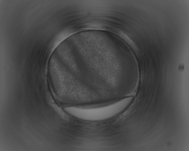 X0000091361378200708311456