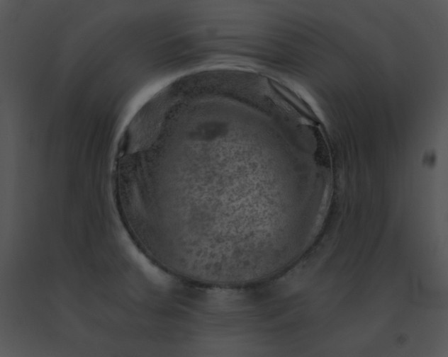 X0000091361379200708311456