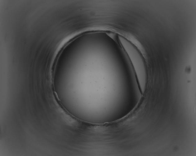 X0000091361380200708311456