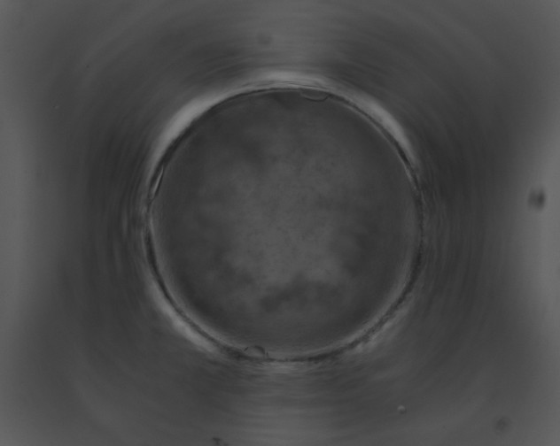 X0000091361381200708311456