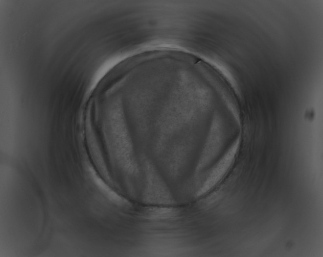 X0000091361382200708311456