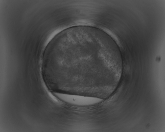 X0000091361383200708311456