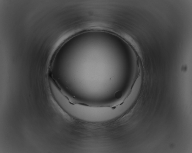 X0000091361384200708311456