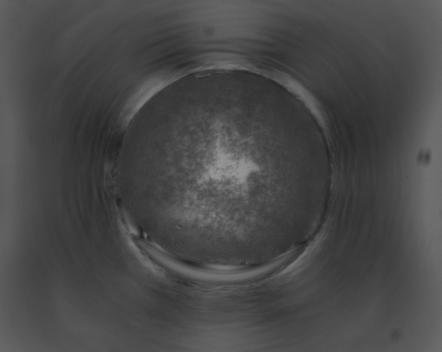 X0000091361385200708311456