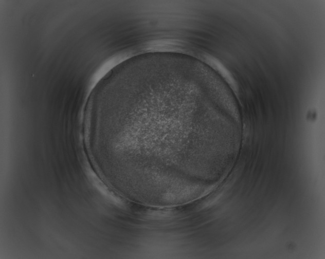 X0000091361386200708311456
