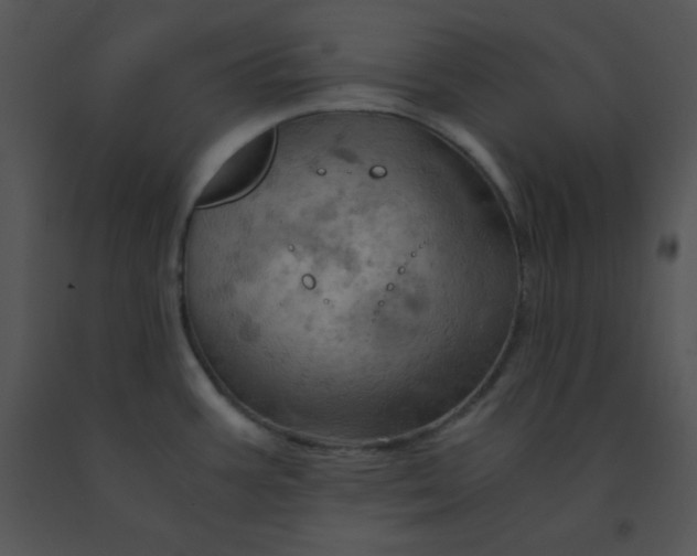 X0000091361387200708311456