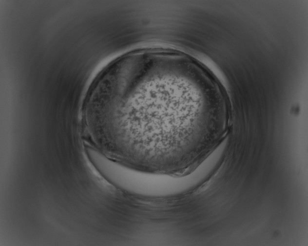 X0000091361388200708311456