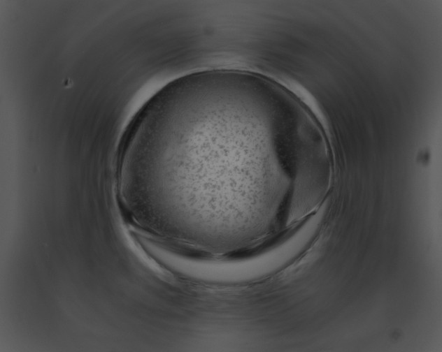 X0000091361389200708311456