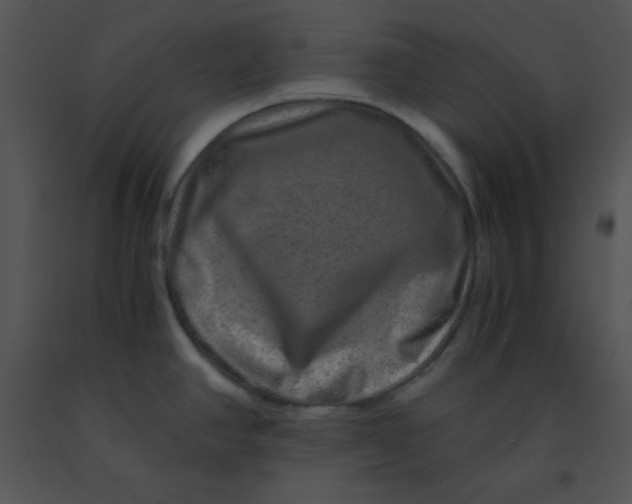 X0000091361390200708311456