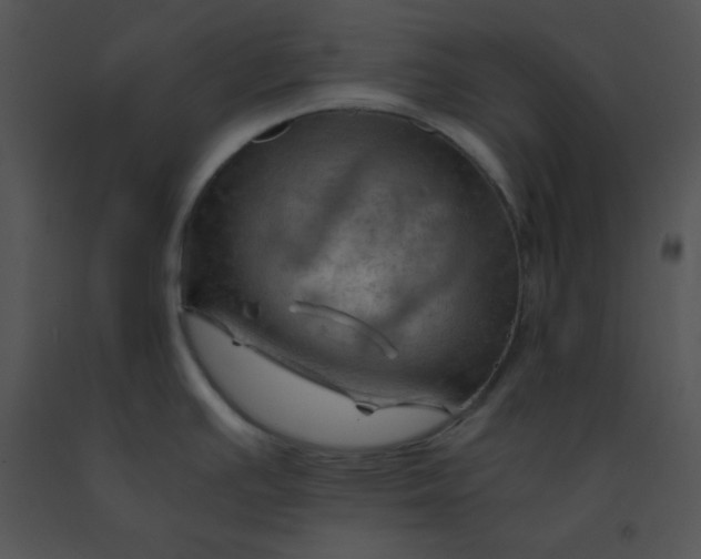 X0000091361391200708311456