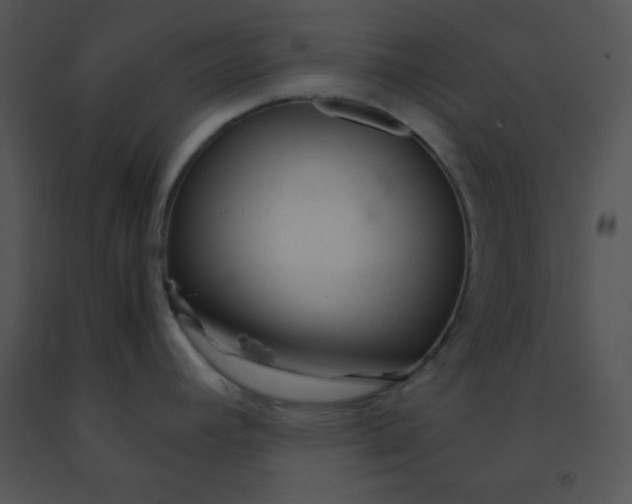 X0000091361392200708311456