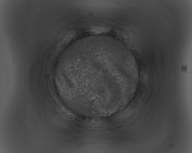 X0000091361393200708311455