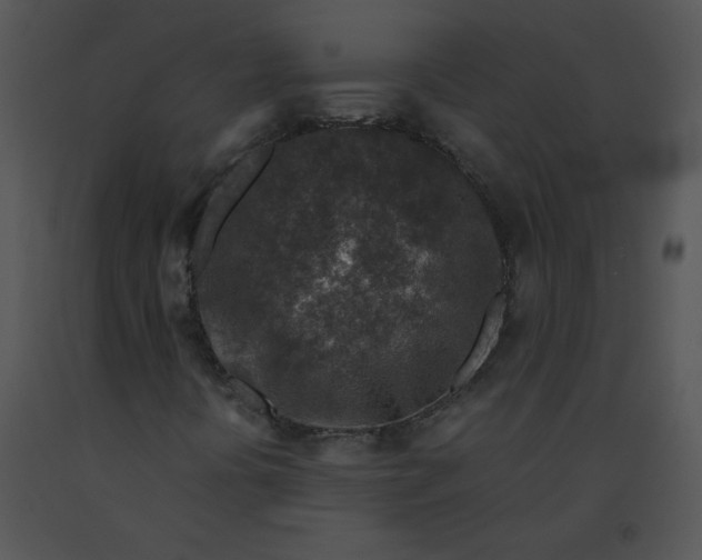 X0000091361394200708311455