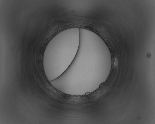 X0000091361396200708311455