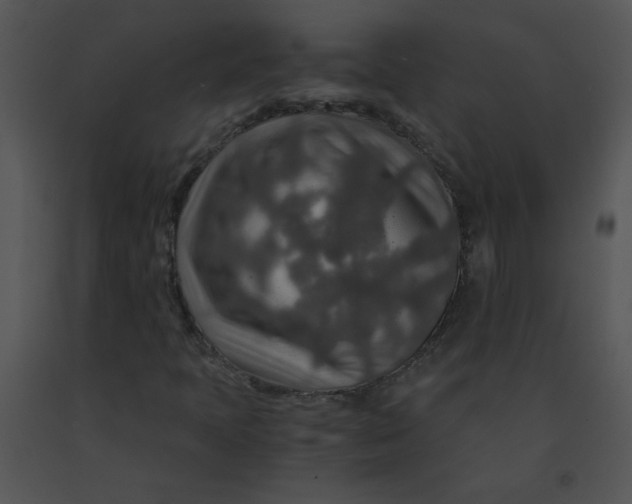 X0000091361397200708311455