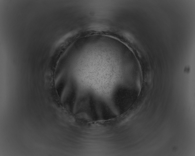 X0000091361398200708311455