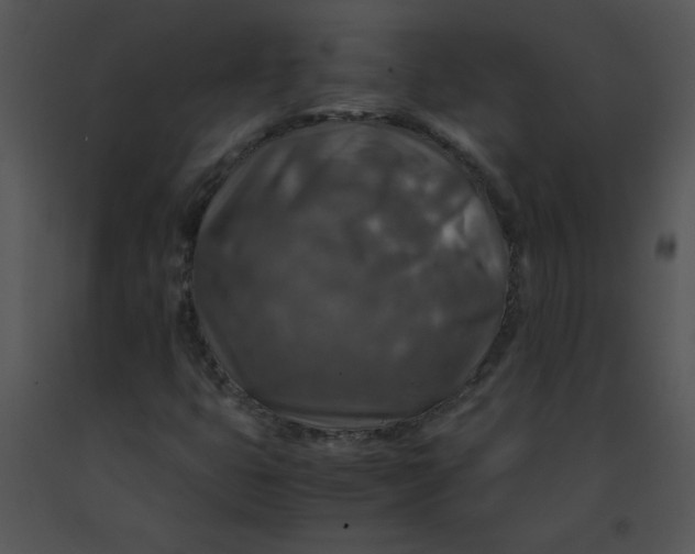 X0000091361399200708311455