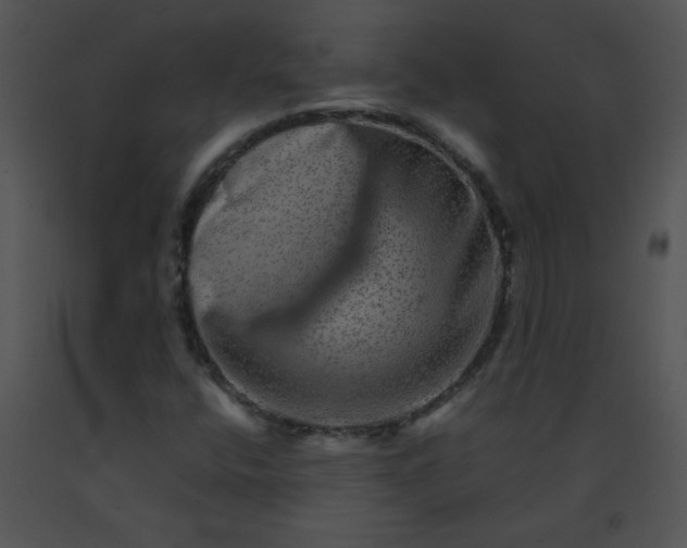 X0000091361400200708311455