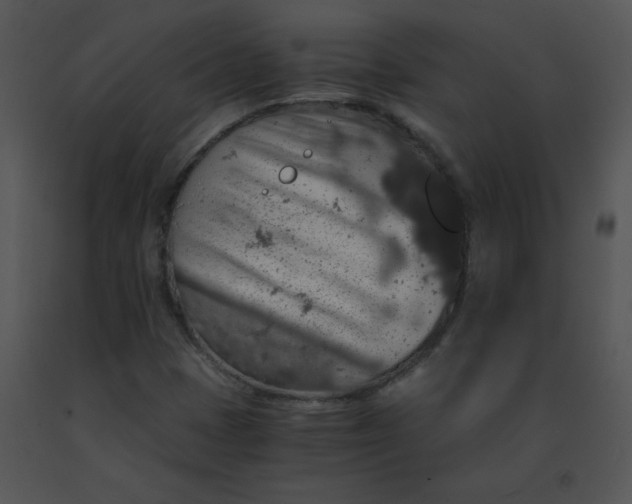 X0000091361401200708311455