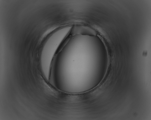 X0000091361402200708311455