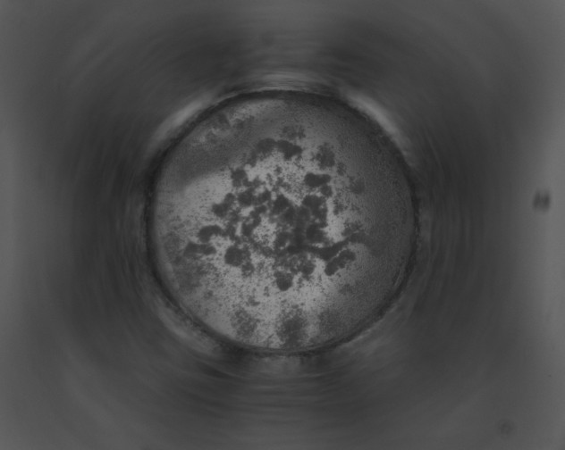 X0000091361403200708311455
