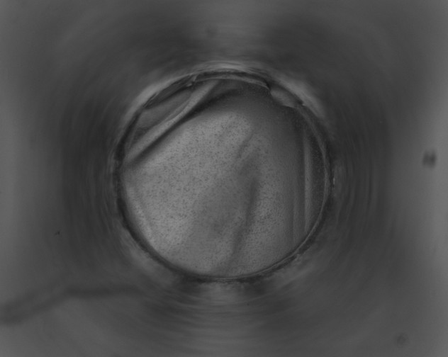 X0000091361404200708311455
