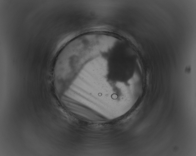 X0000091361405200708311455