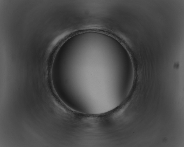 X0000091361406200708311455