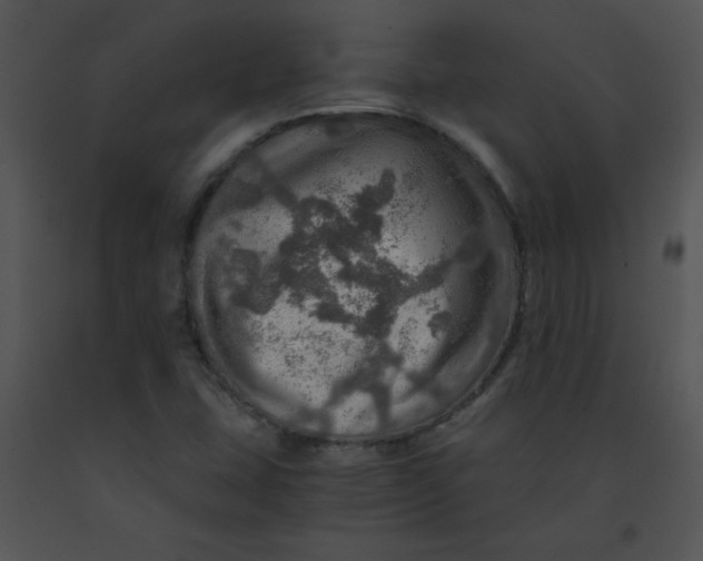 X0000091361407200708311455