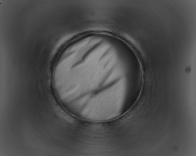 X0000091361408200708311455
