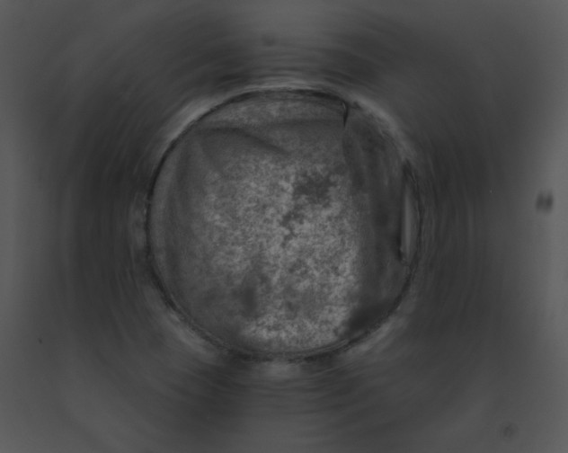 X0000091361409200708311455