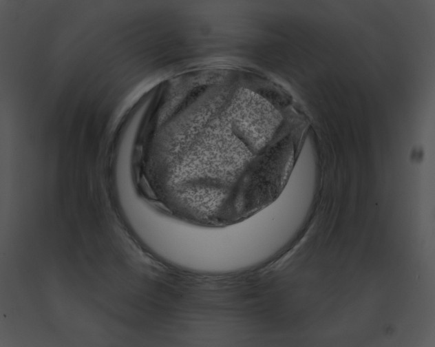 X0000091361410200708311455