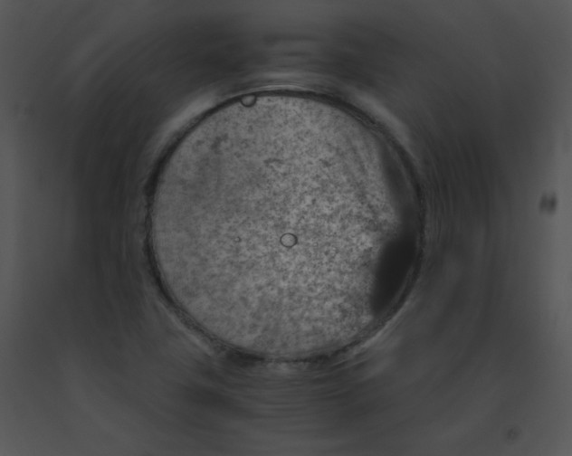 X0000091361411200708311455
