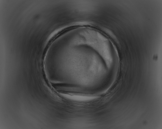 X0000091361412200708311455