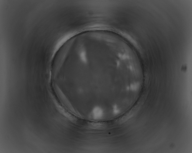 X0000091361413200708311455