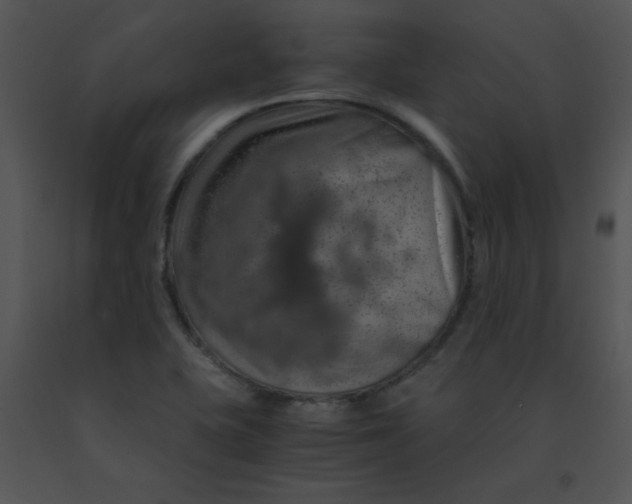 X0000091361415200708311455