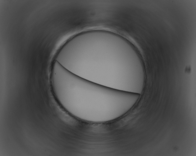 X0000091361416200708311455