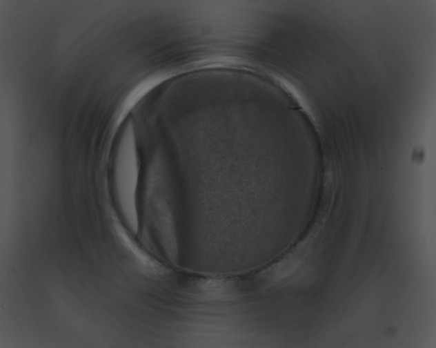 X0000091361418200708311455