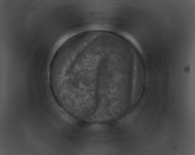 X0000091361419200708311455