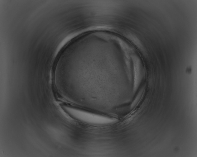 X0000091361420200708311455
