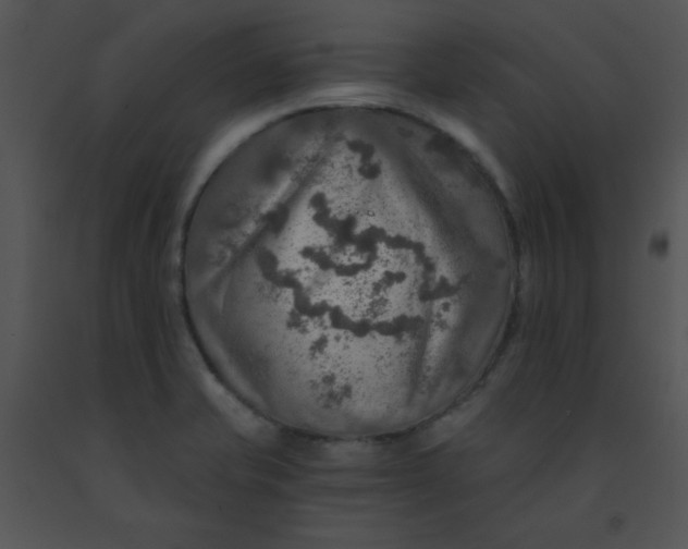 X0000091361421200708311455