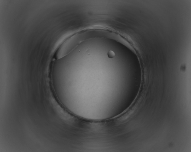 X0000091361422200708311455